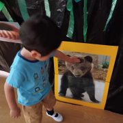 サファリパーク